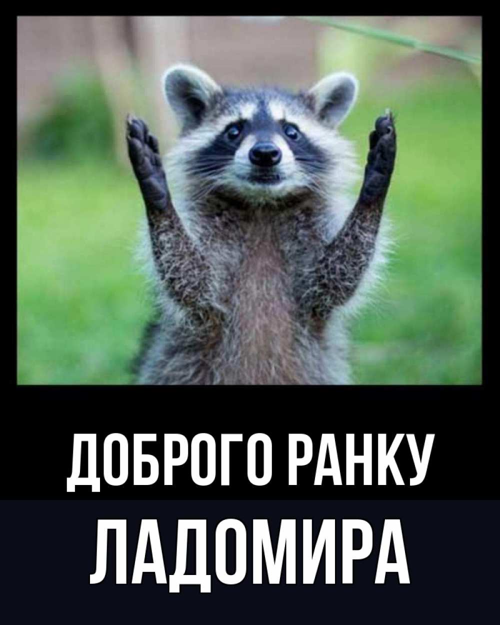 Открытка на каждый день з підписом, Ладомира Доброго ранку хорошее настроение утречком Прикольна листівка з побажанням онлайн скачати безкоштовно 