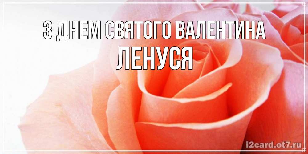 Открытка на каждый день з підписом, Ленуся З Днем Святого Валентина открытка на день Святого Валентина с розовой розой Прикольна листівка з побажанням онлайн скачати безкоштовно 