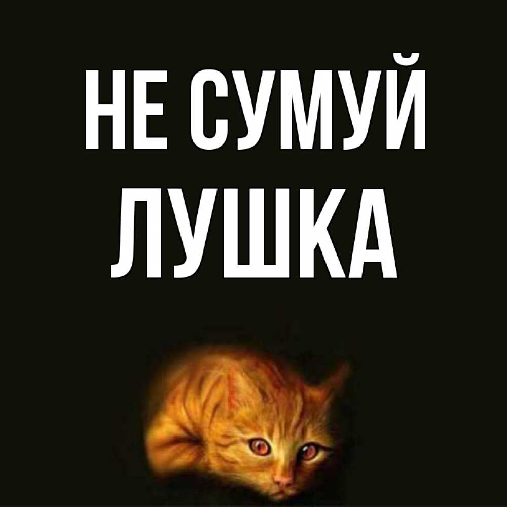 Открытка на каждый день з підписом, Лушка Не сумуй лежащий кот в темноте Прикольна листівка з побажанням онлайн скачати безкоштовно 