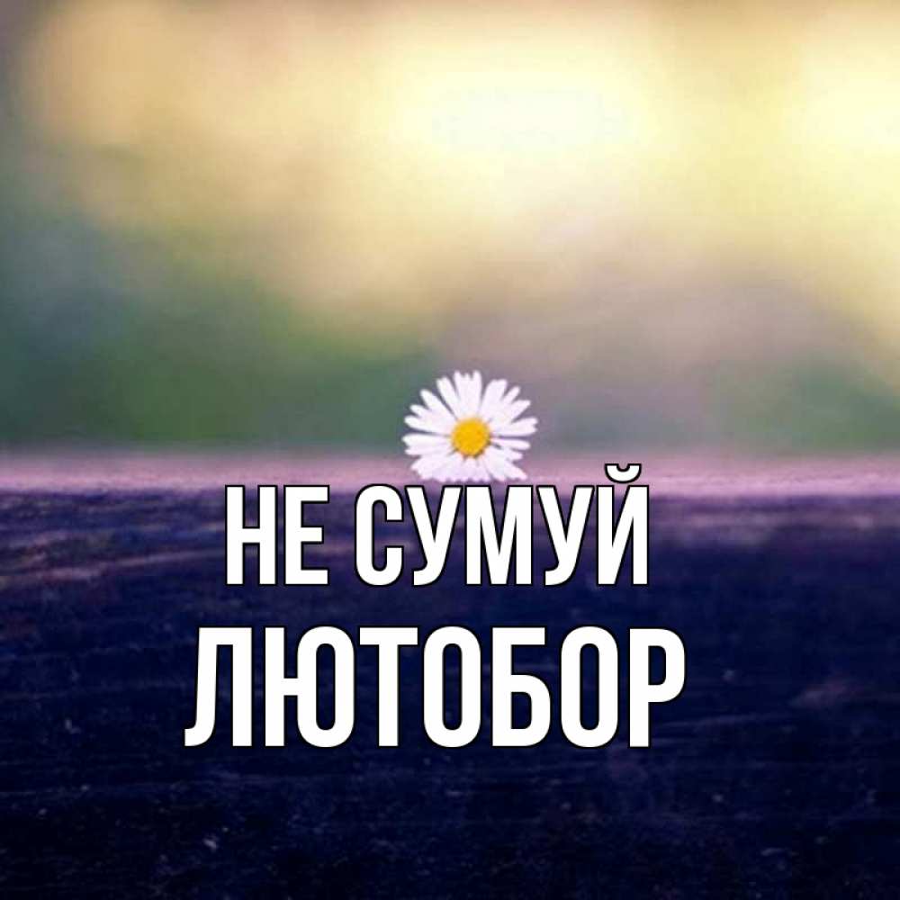 Открытка на каждый день з підписом, Лютобор Не сумуй красота Прикольна листівка з побажанням онлайн скачати безкоштовно 