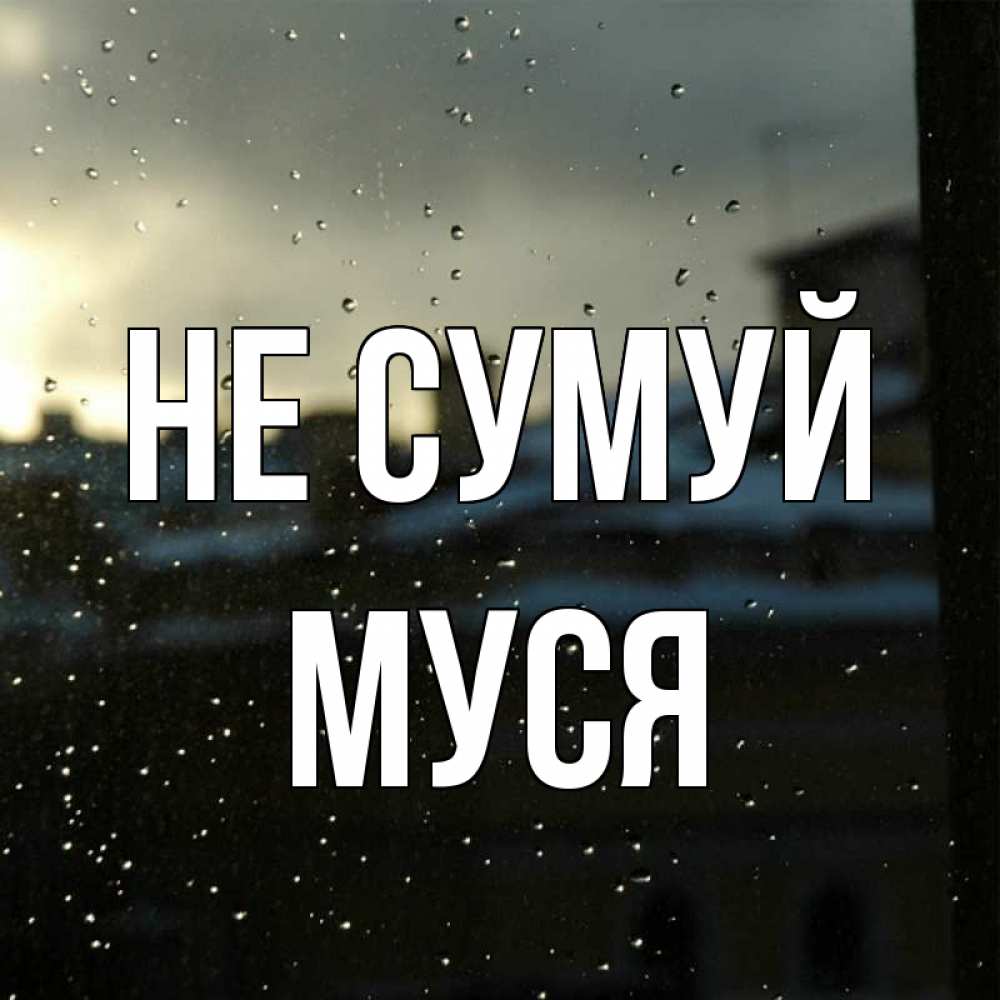 Открытка на каждый день з підписом, Муся Не сумуй вид на крыши Прикольна листівка з побажанням онлайн скачати безкоштовно 
