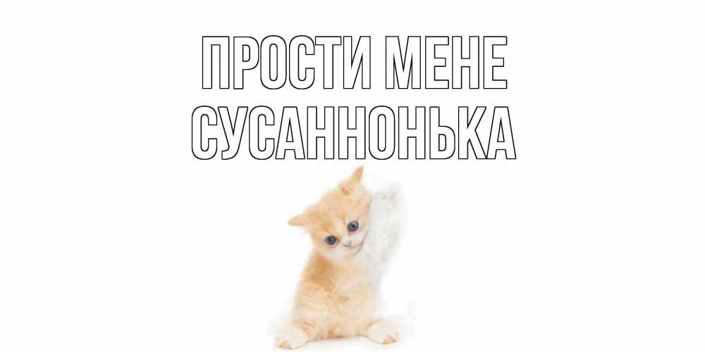Открытка на каждый день з підписом, Сусаннонька Прости мене кот Прикольна листівка з побажанням онлайн скачати безкоштовно 