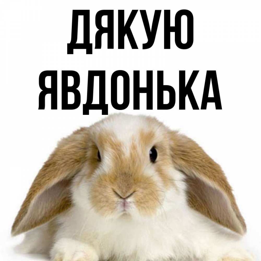 Открытка на каждый день з підписом, Явдонька Дякую коричнево белый заяц Прикольна листівка з побажанням онлайн скачати безкоштовно 