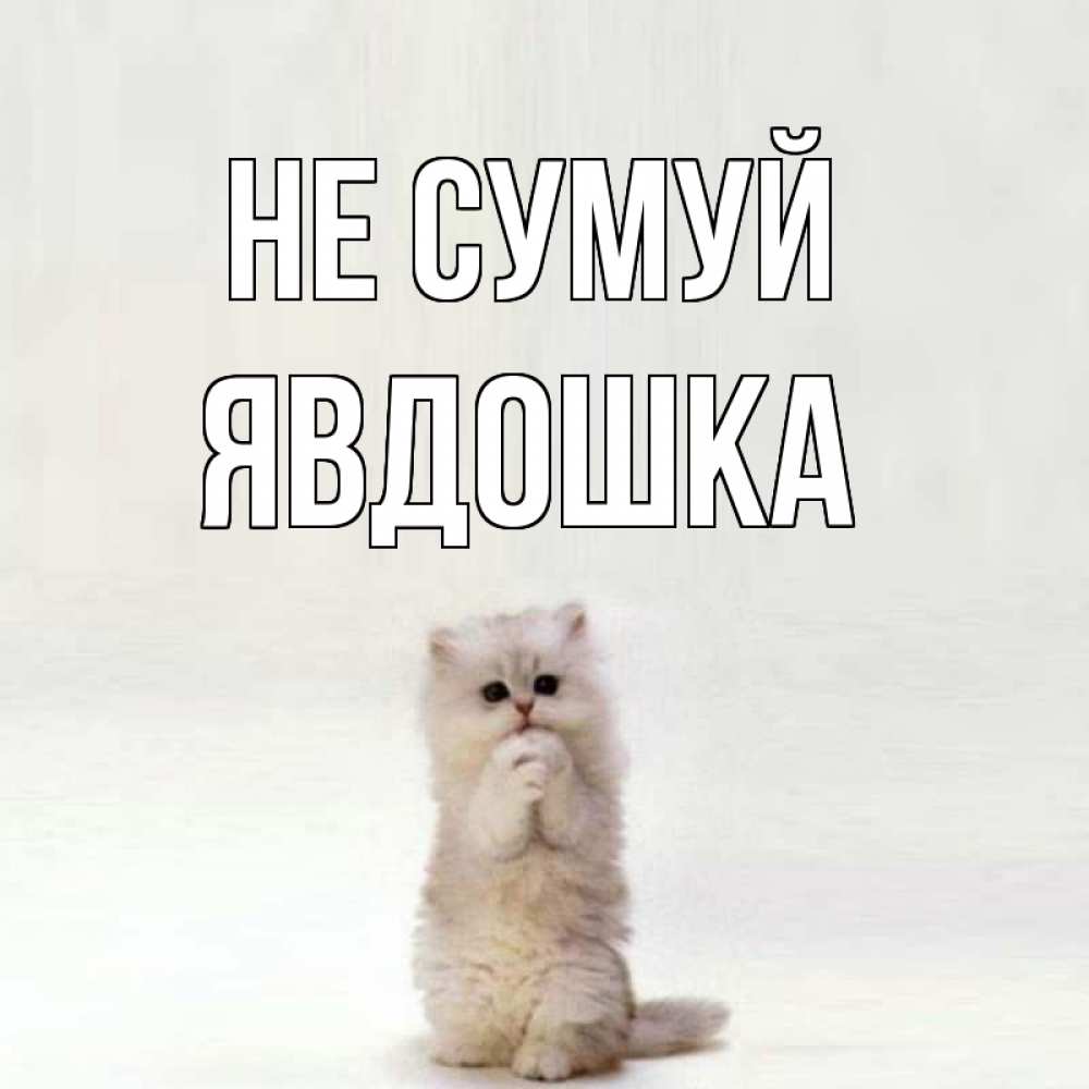 Открытка на каждый день з підписом, Явдошка Не сумуй грустный кот Прикольна листівка з побажанням онлайн скачати безкоштовно 