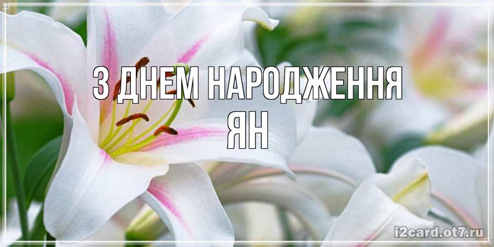 Открытка на каждый день з підписом, Ян З Днем народження открытка с белой лилией Прикольна листівка з побажанням онлайн скачати безкоштовно 