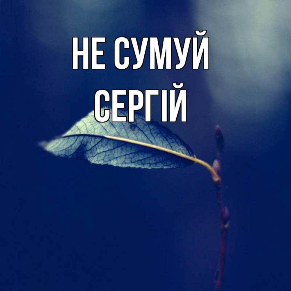 Открытка на каждый день з підписом, Сергій Не сумуй растение Прикольна листівка з побажанням онлайн скачати безкоштовно 