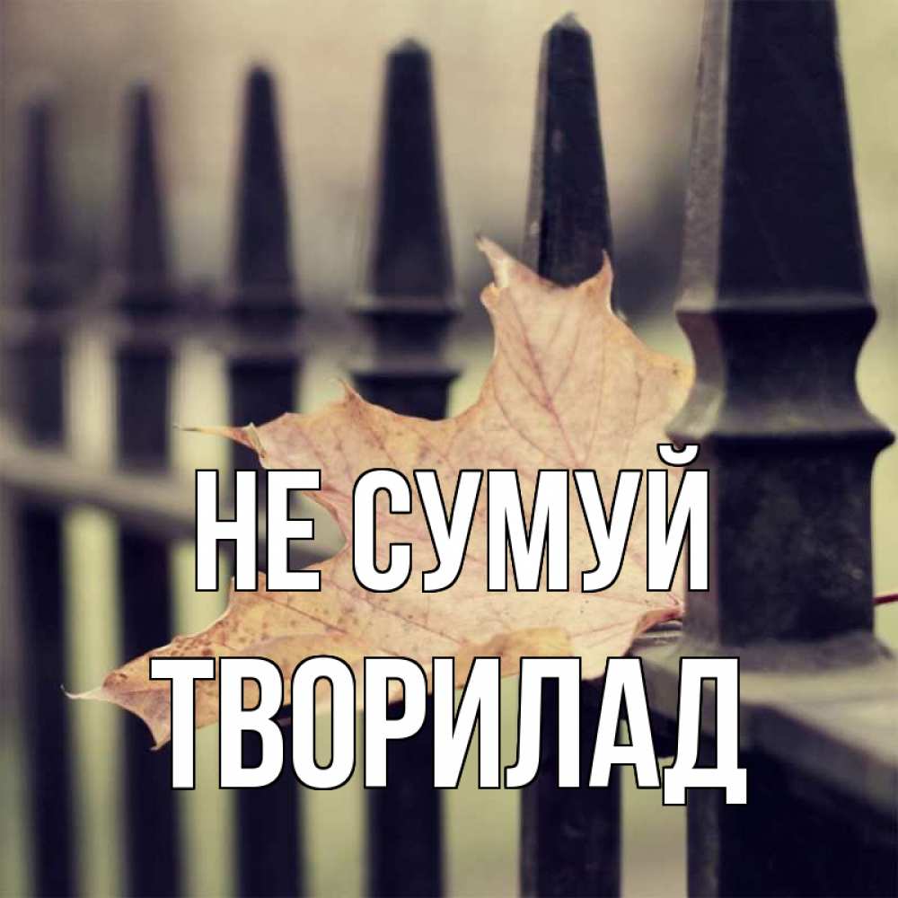 Открытка на каждый день з підписом, Творилад Не сумуй лист клена Прикольна листівка з побажанням онлайн скачати безкоштовно 