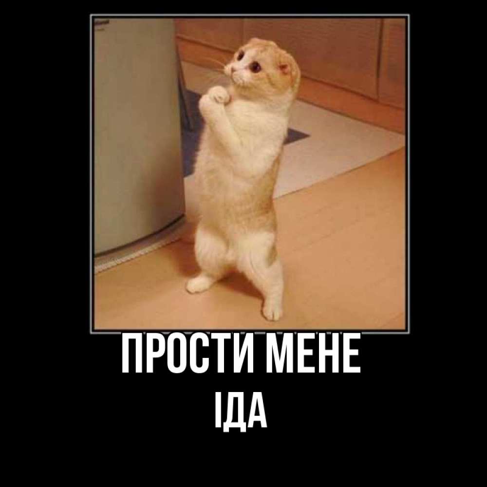 Открытка на каждый день з підписом, Іда Прости мене открытка с милым несчастным котиком просящим прощения Прикольна листівка з побажанням онлайн скачати безкоштовно 