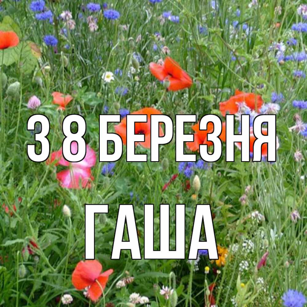 Открытка на каждый день з підписом, Гаша З 8 БЕРЕЗНЯ международный женский день 4 Прикольна листівка з побажанням онлайн скачати безкоштовно 