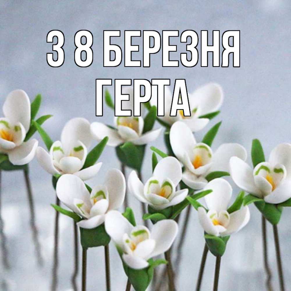 Открытка на каждый день з підписом, Герта З 8 БЕРЕЗНЯ весенние цветы Прикольна листівка з побажанням онлайн скачати безкоштовно 