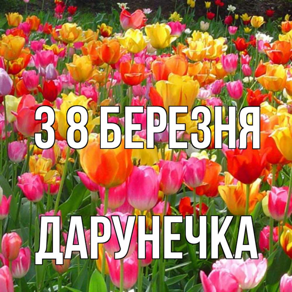 Открытка на каждый день з підписом, Дарунечка З 8 БЕРЕЗНЯ на международный женский день Прикольна листівка з побажанням онлайн скачати безкоштовно 