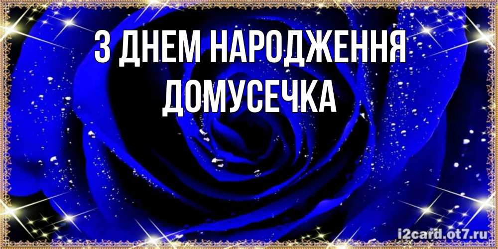 Открытка на каждый день з підписом, Домусечка З Днем народження голубые цветы в росе Прикольна листівка з побажанням онлайн скачати безкоштовно 