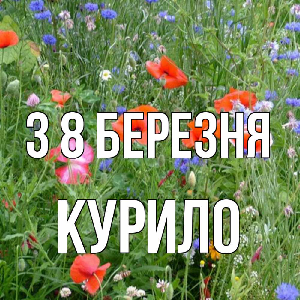 Открытка на каждый день з підписом, Курило З 8 БЕРЕЗНЯ международный женский день 4 Прикольна листівка з побажанням онлайн скачати безкоштовно 