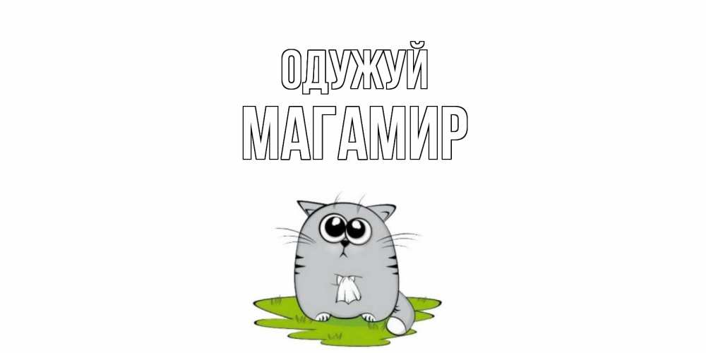 Открытка на каждый день з підписом, Магамир Одужуй кот и открытки про выздоровление Прикольна листівка з побажанням онлайн скачати безкоштовно 