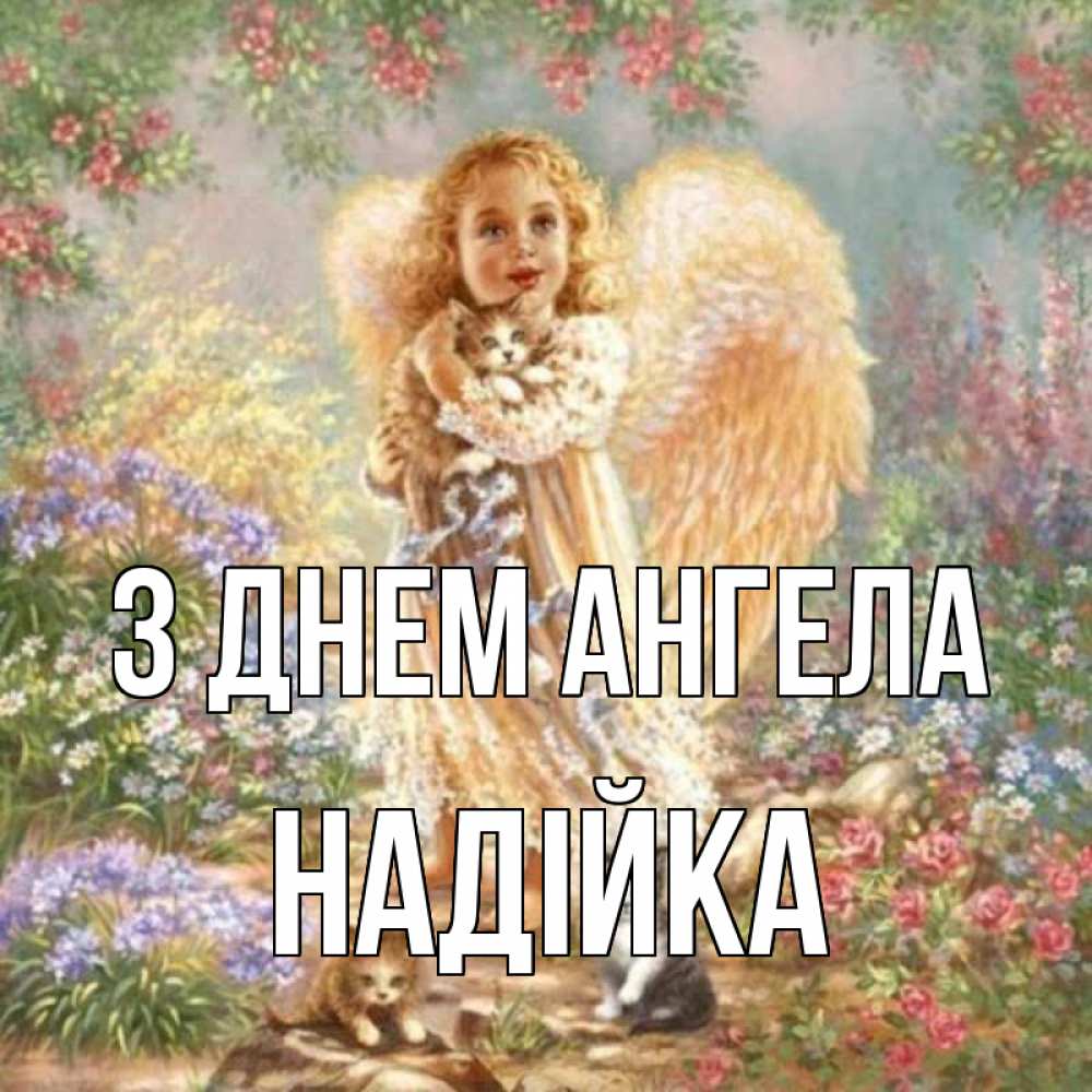 Открытка на каждый день з підписом, Надійка З Днем ангела держит котенка Прикольна листівка з побажанням онлайн скачати безкоштовно 