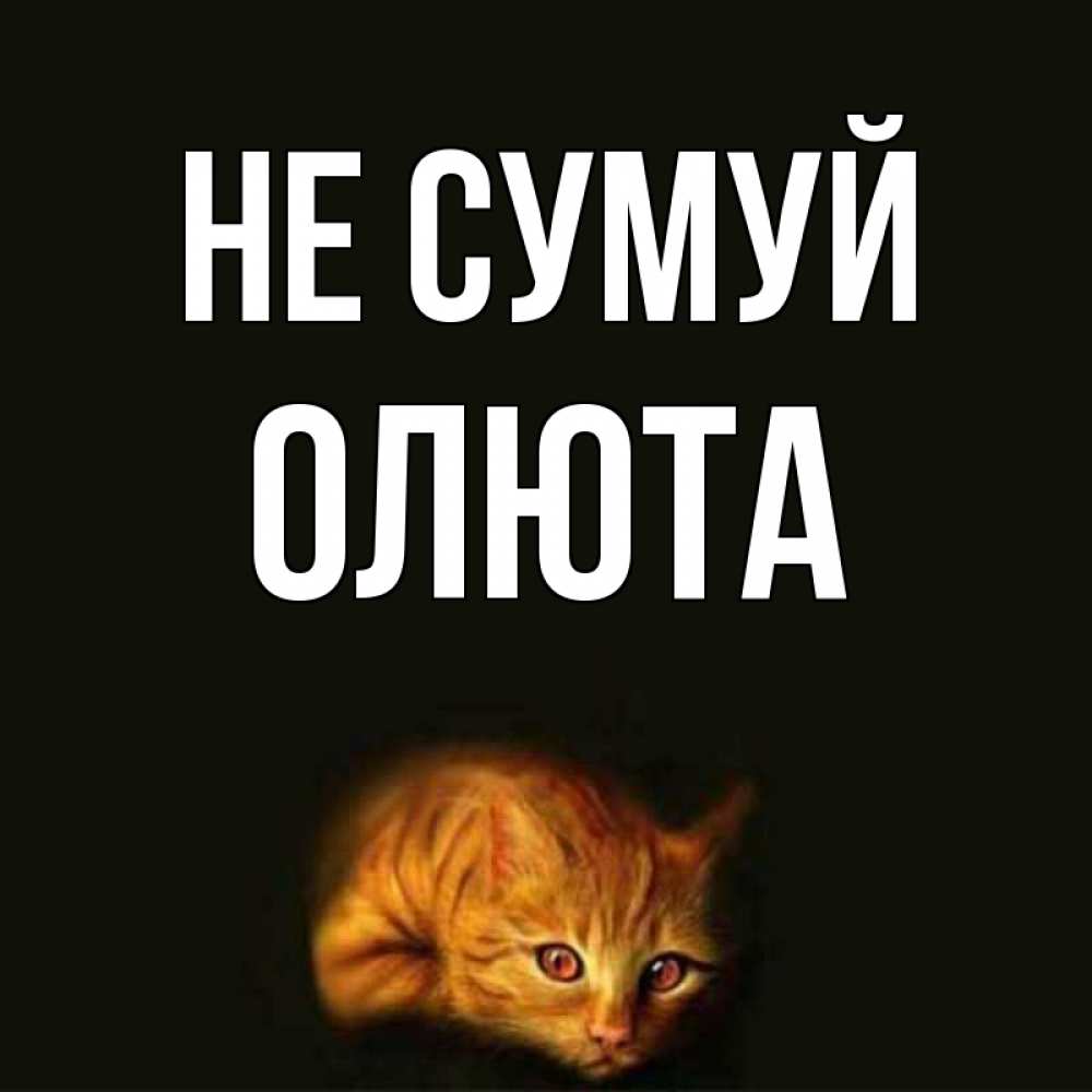 Открытка на каждый день з підписом, Олюта Не сумуй лежащий кот в темноте Прикольна листівка з побажанням онлайн скачати безкоштовно 