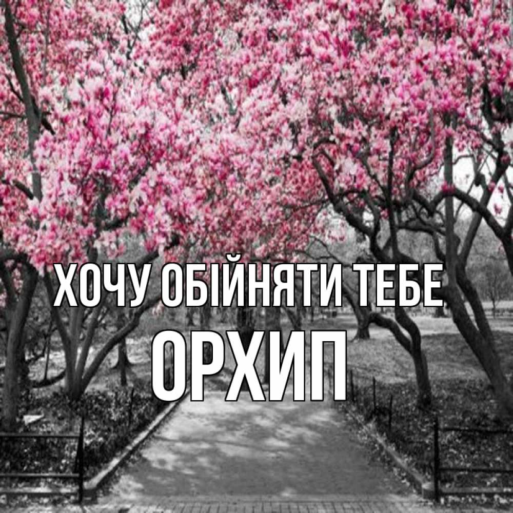 Открытка на каждый день з підписом, Орхип Хочу обійняти тебе обработанное фото Прикольна листівка з побажанням онлайн скачати безкоштовно 