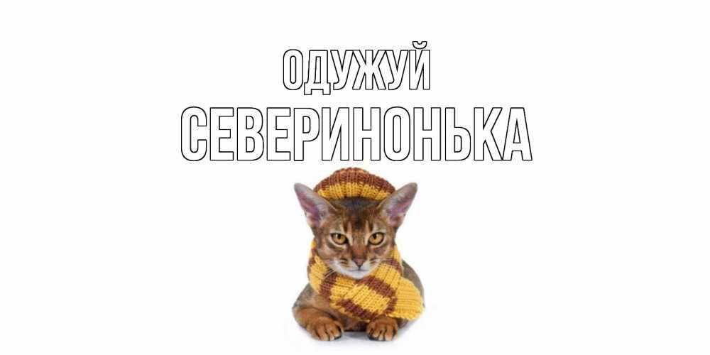 Открытка на каждый день з підписом, Северинонька Одужуй родные не болейте Прикольна листівка з побажанням онлайн скачати безкоштовно 
