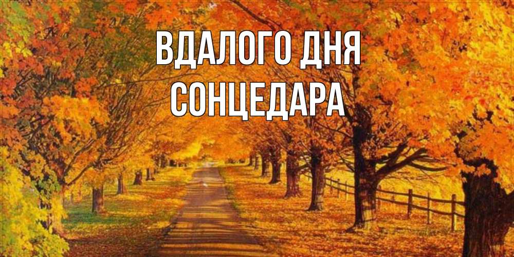 Открытка на каждый день з підписом, Сонцедара Вдалого дня деревья с осенними листьями Прикольна листівка з побажанням онлайн скачати безкоштовно 