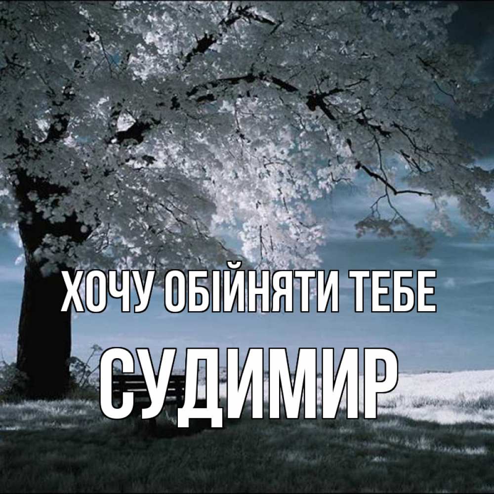 Открытка на каждый день з підписом, Судимир Хочу обійняти тебе дерево Прикольна листівка з побажанням онлайн скачати безкоштовно 