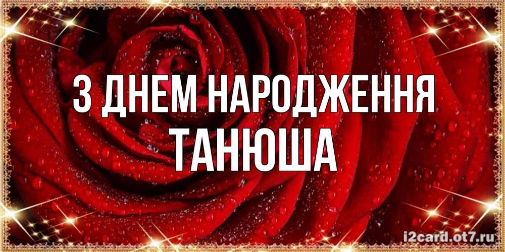 Открытка на каждый день з підписом, Танюша З Днем народження роса на розе блестящая в лучах солнца Прикольна листівка з побажанням онлайн скачати безкоштовно 