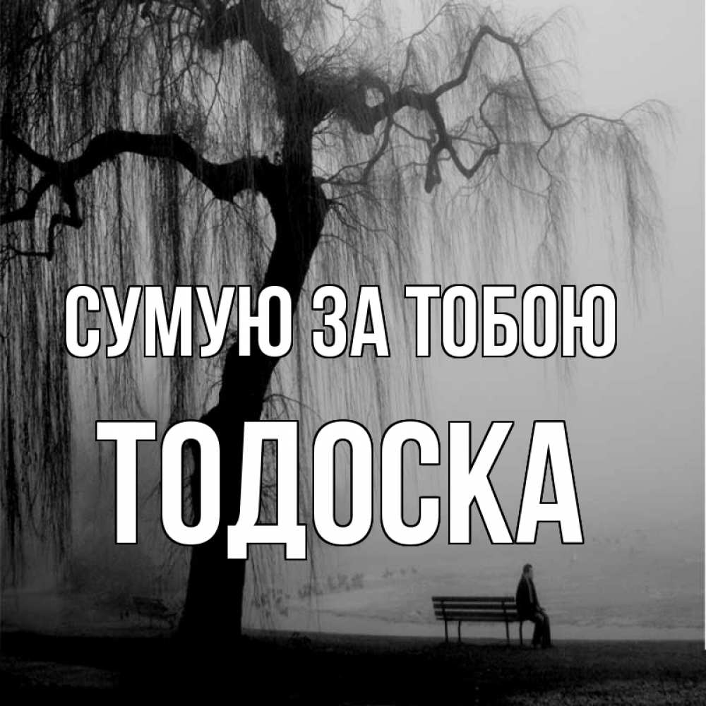 Открытка на каждый день з підписом, Тодоска Сумую за тобою лавочка под деревом я жду тебя Прикольна листівка з побажанням онлайн скачати безкоштовно 