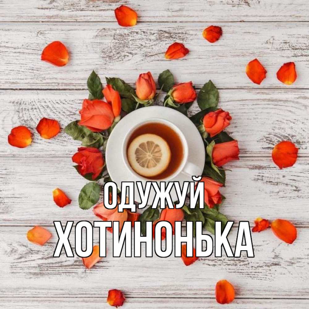 Открытка на каждый день з підписом, Хотинонька Одужуй фон из досок Прикольна листівка з побажанням онлайн скачати безкоштовно 