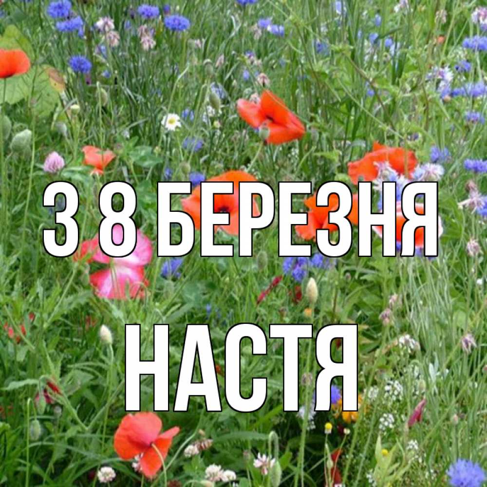Открытка на каждый день з підписом, Настя З 8 БЕРЕЗНЯ международный женский день 4 Прикольна листівка з побажанням онлайн скачати безкоштовно 