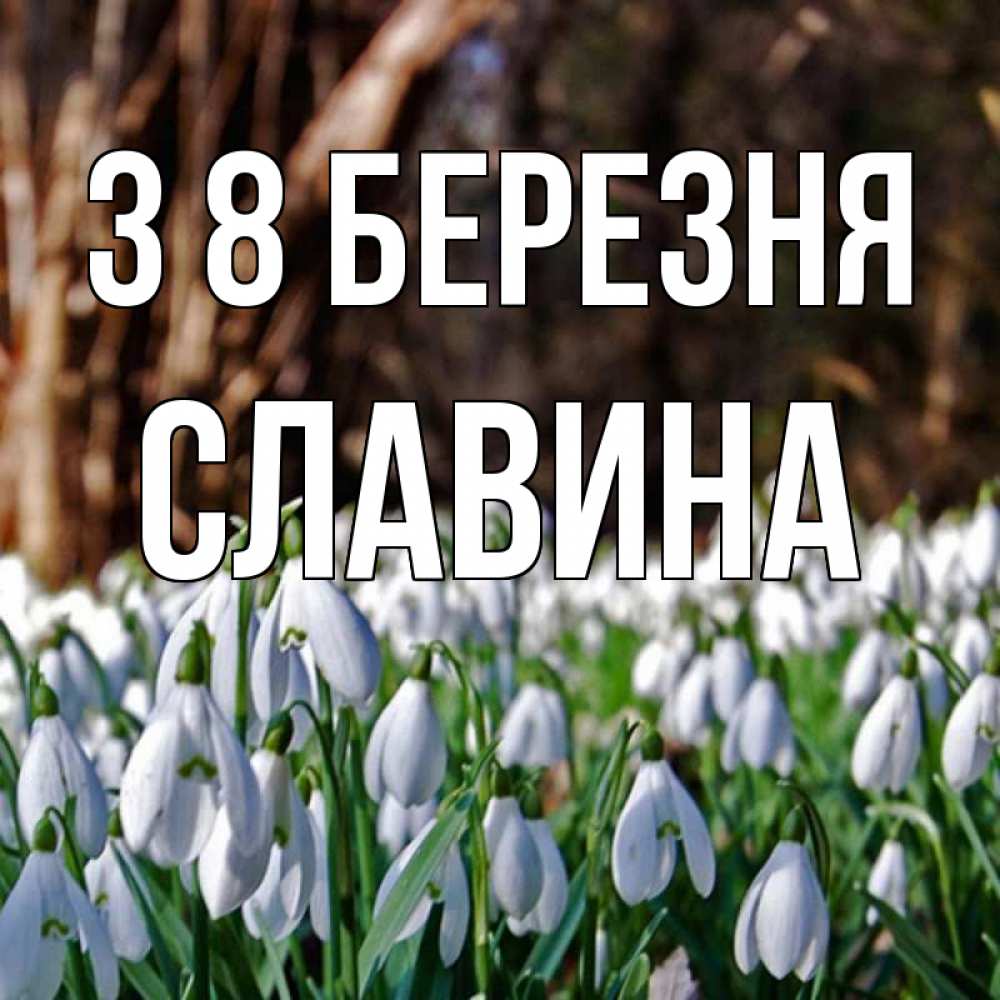 Открытка на каждый день з підписом, Славина З 8 БЕРЕЗНЯ с подснежниками 1 Прикольна листівка з побажанням онлайн скачати безкоштовно 