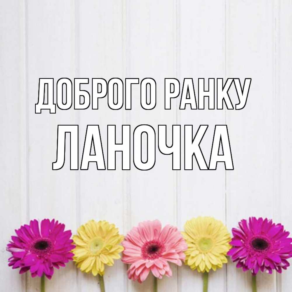 Открытка на каждый день з підписом, Ланочка Доброго ранку красный желтый и розовый цветок Прикольна листівка з побажанням онлайн скачати безкоштовно 