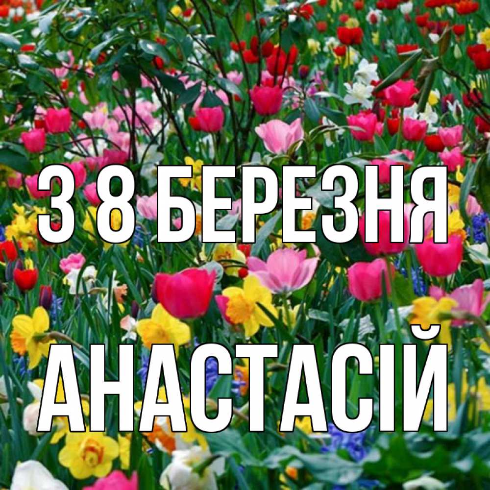 Открытка на каждый день з підписом, Анастасій З 8 БЕРЕЗНЯ с международным женским днем поздравления для женщины Прикольна листівка з побажанням онлайн скачати безкоштовно 