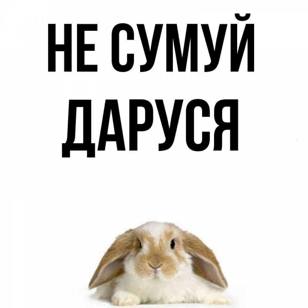 Открытка на каждый день з підписом, Даруся Не сумуй коричнево белый заяц с большими ушками Прикольна листівка з побажанням онлайн скачати безкоштовно 