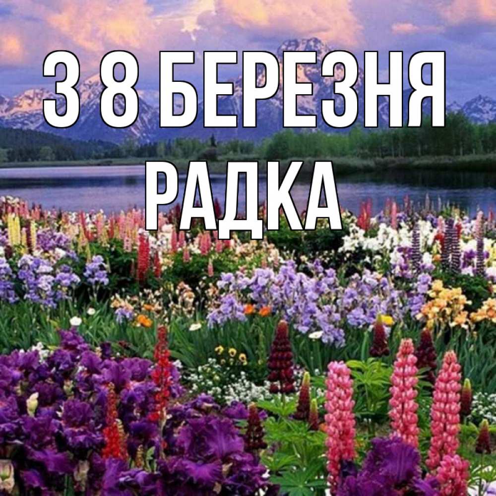 Открытка на каждый день з підписом, Радка З 8 БЕРЕЗНЯ международный женский день Прикольна листівка з побажанням онлайн скачати безкоштовно 