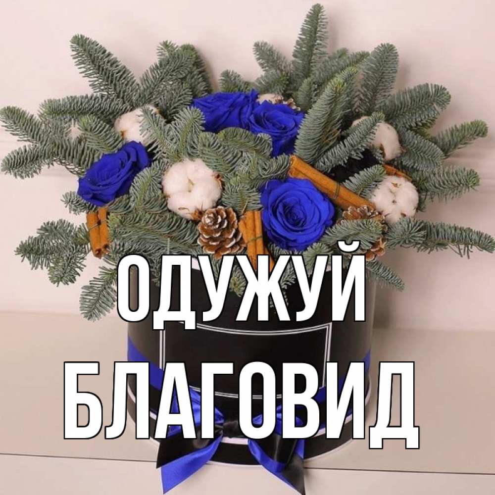Открытка на каждый день з підписом, Благовид Одужуй короче кто то загрузил эти шишки Прикольна листівка з побажанням онлайн скачати безкоштовно 