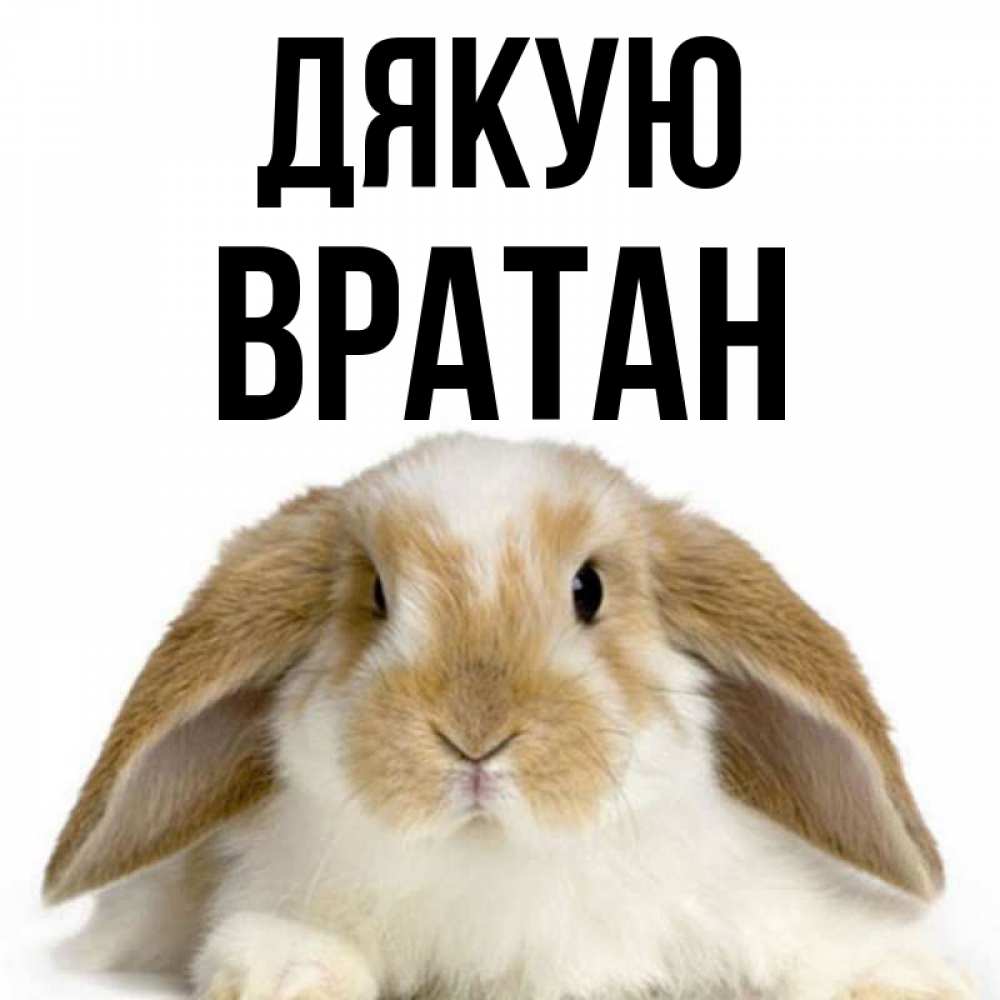 Открытка на каждый день з підписом, Вратан Дякую коричнево белый заяц Прикольна листівка з побажанням онлайн скачати безкоштовно 