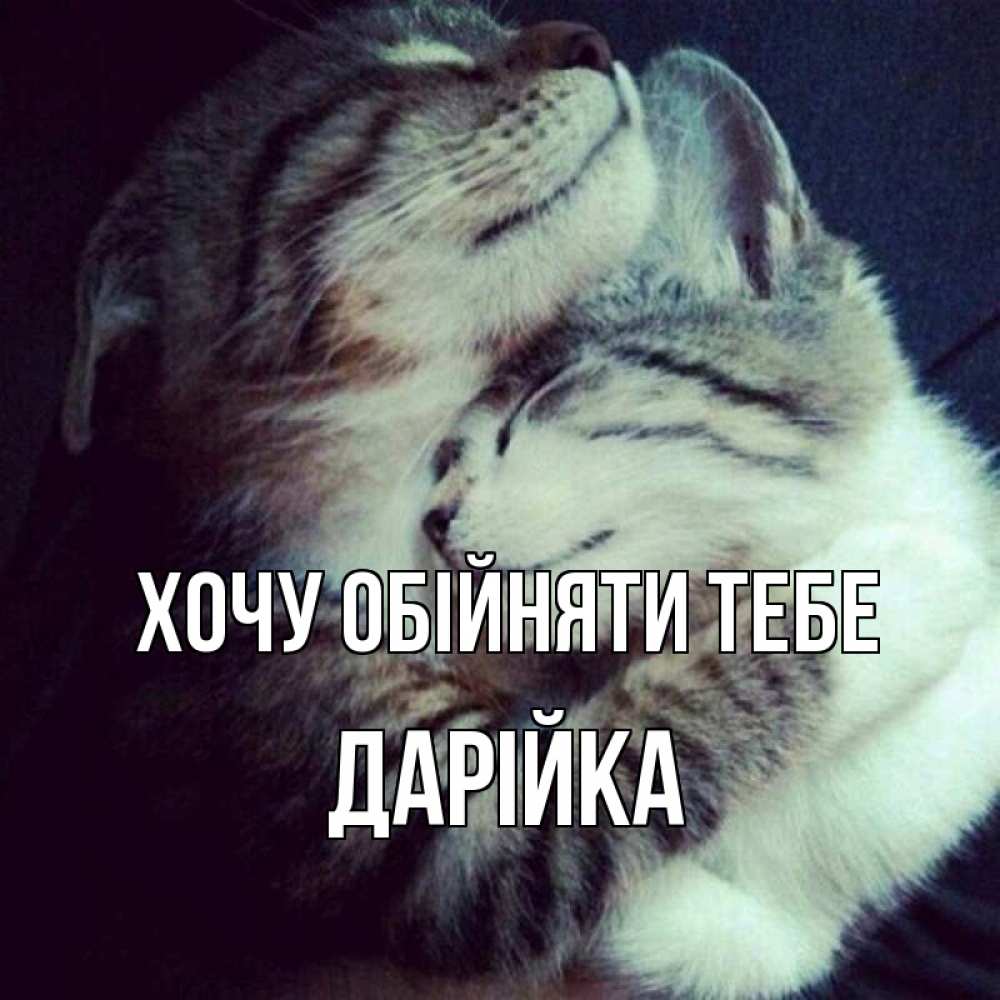 Открытка на каждый день з підписом, Дарійка Хочу обійняти тебе полосатики Прикольна листівка з побажанням онлайн скачати безкоштовно 