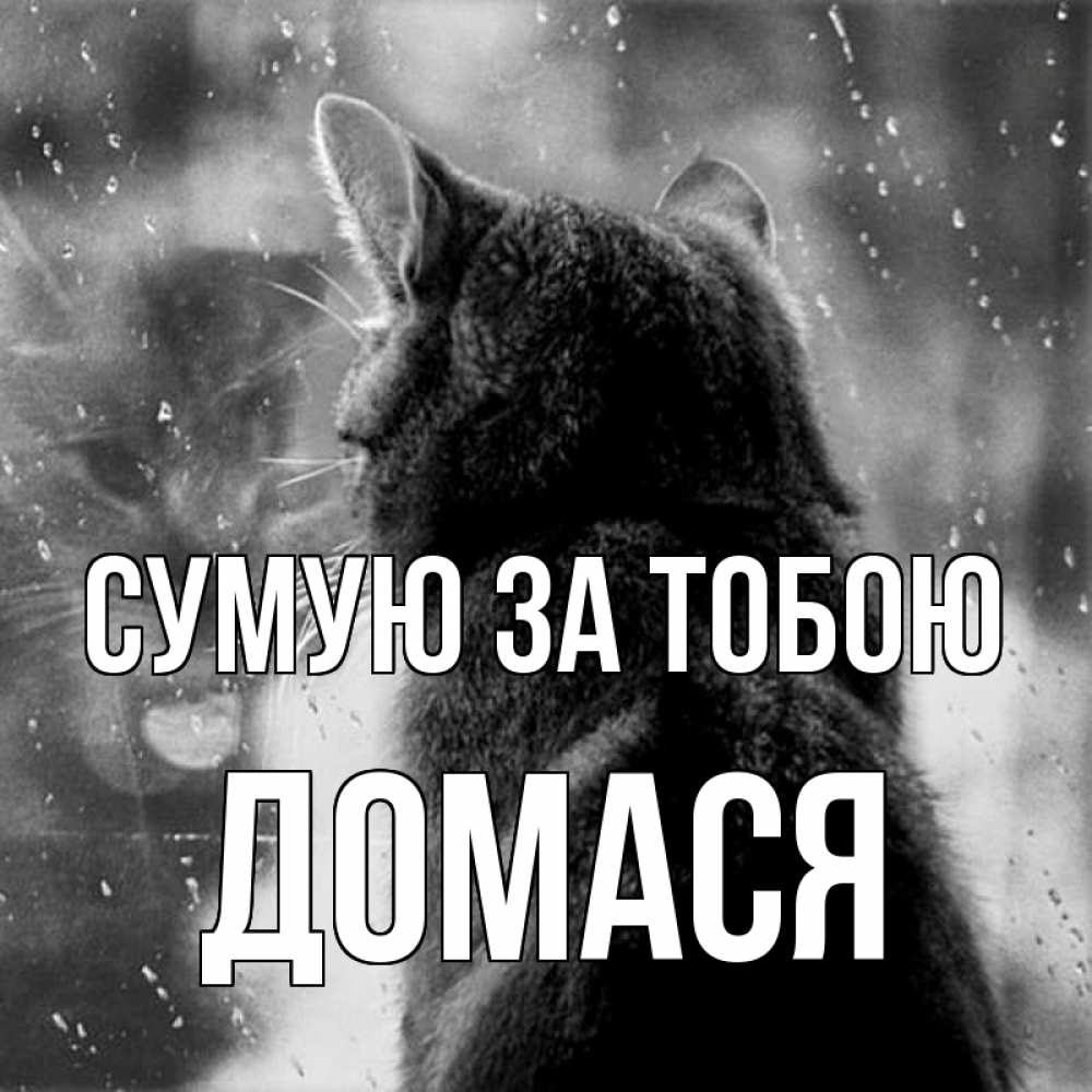 Открытка на каждый день з підписом, Домася Сумую за тобою скорее ко мне приходи 1 Прикольна листівка з побажанням онлайн скачати безкоштовно 