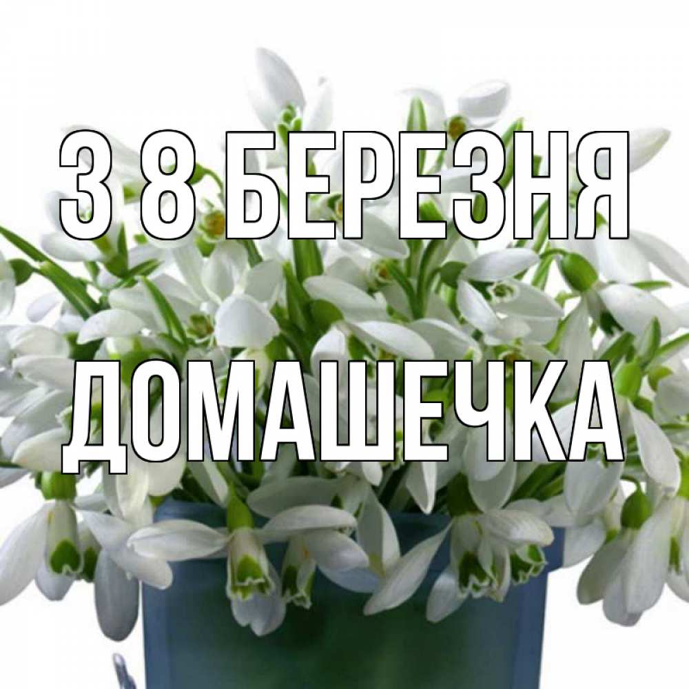 Открытка на каждый день з підписом, Домашечка З 8 БЕРЕЗНЯ цветы к международному женскому дню Прикольна листівка з побажанням онлайн скачати безкоштовно 