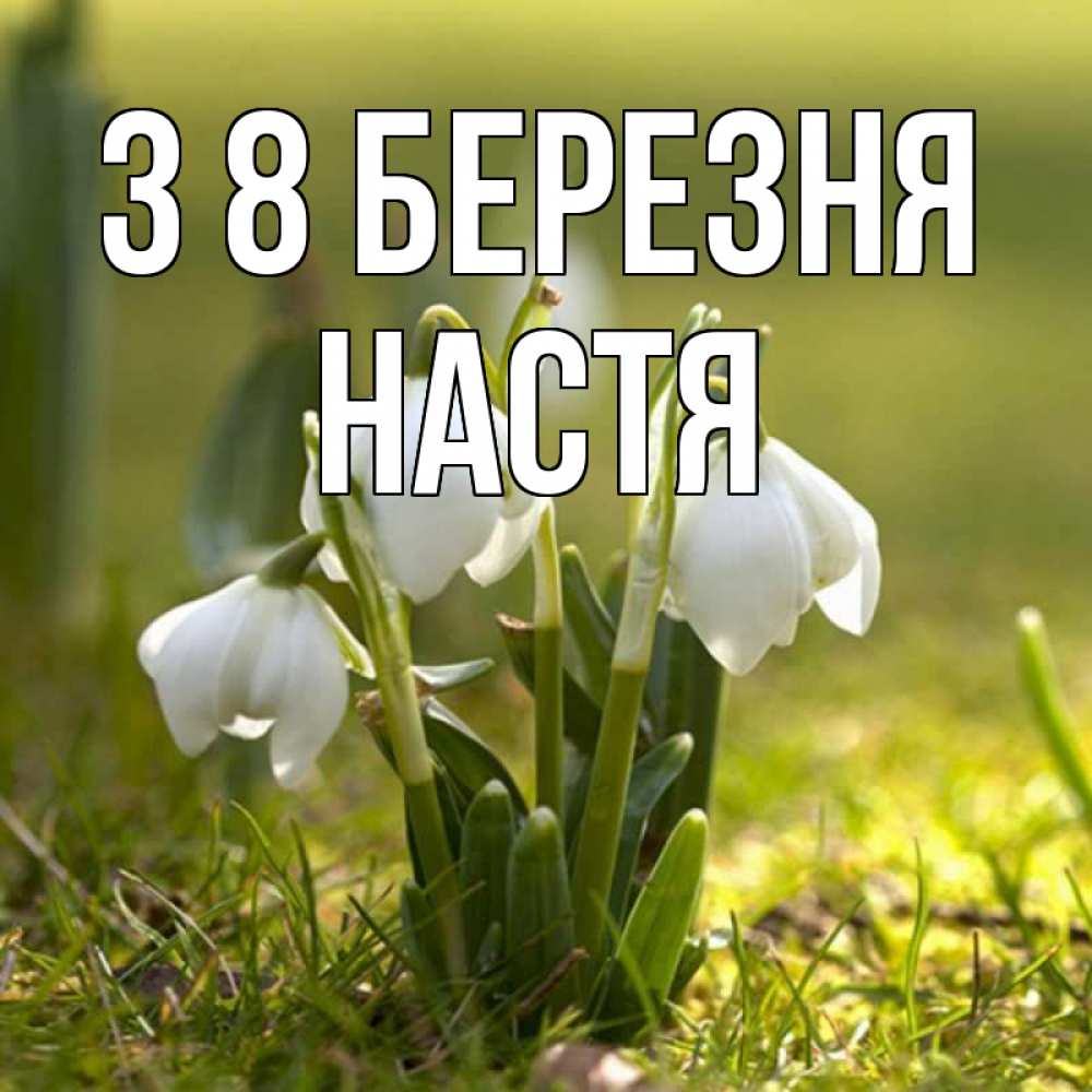 Открытка на каждый день з підписом, Настя З 8 БЕРЕЗНЯ ранние цветы 2 Прикольна листівка з побажанням онлайн скачати безкоштовно 