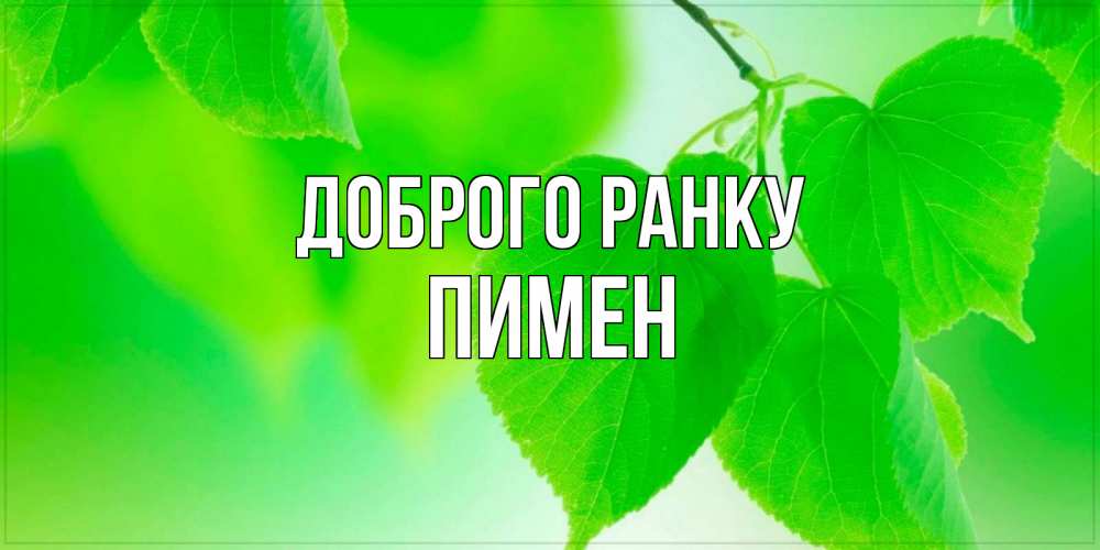 Открытка на каждый день з підписом, Пимен Доброго ранку доброе утро с березовыми листьями Прикольна листівка з побажанням онлайн скачати безкоштовно 
