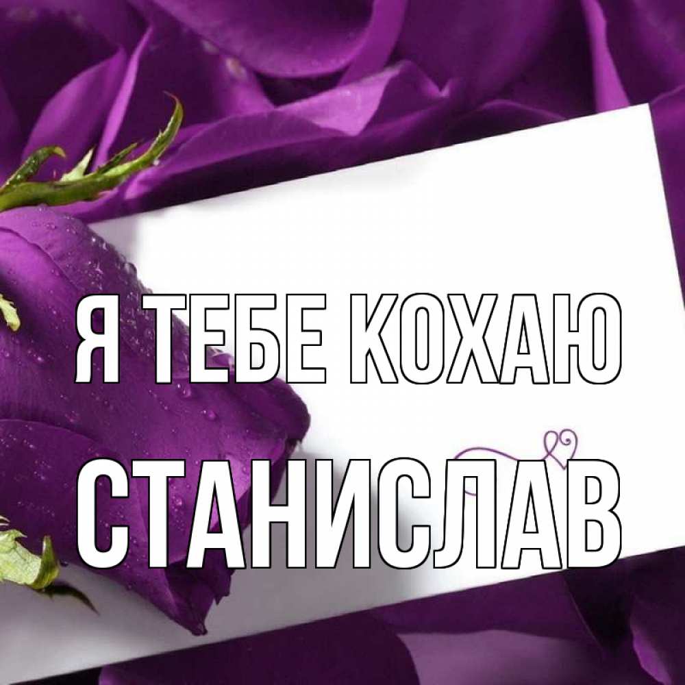 Открытка на каждый день з підписом, Станислав Я тебе кохаю роза Прикольна листівка з побажанням онлайн скачати безкоштовно 
