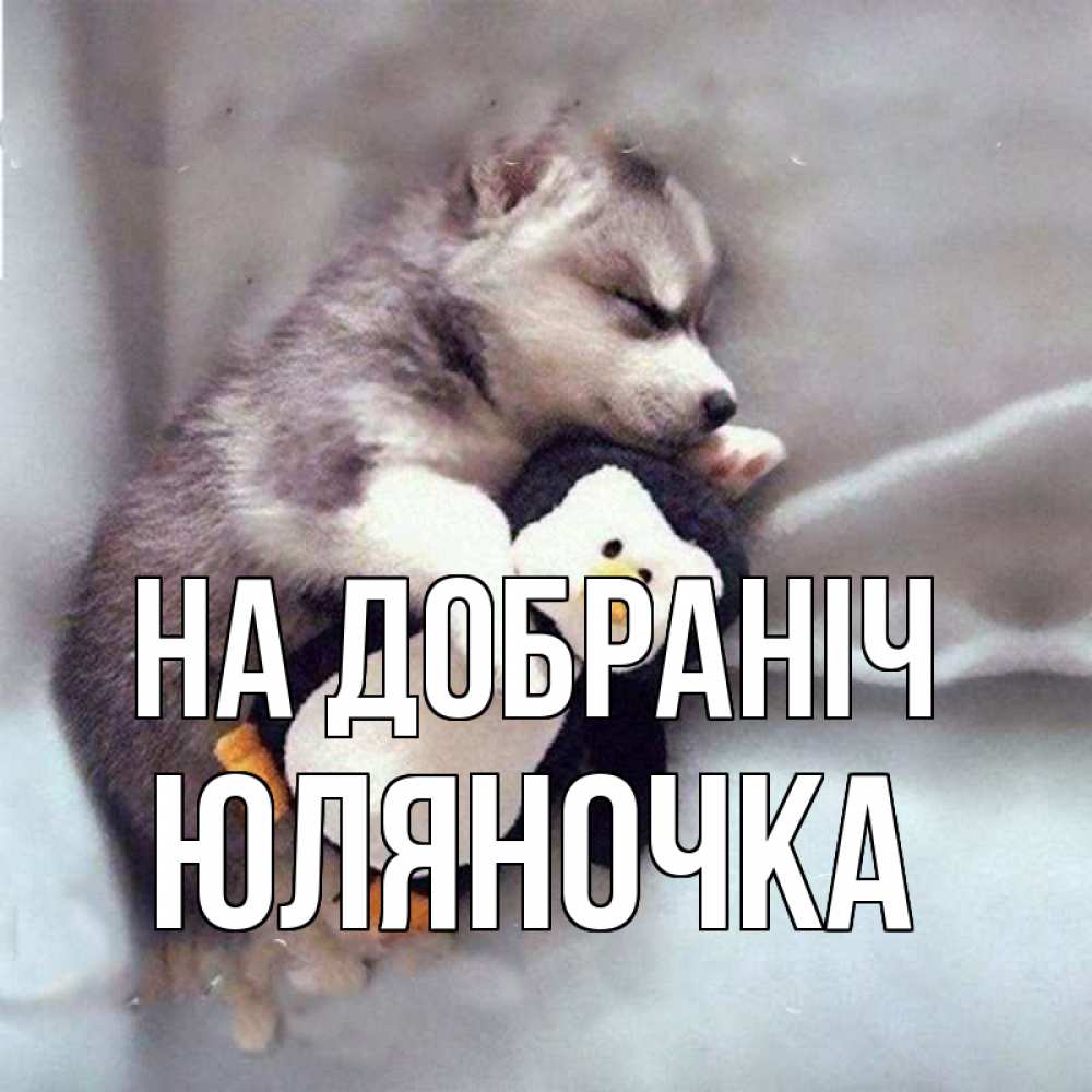 Открытка на каждый день з підписом, Юляночка На добраніч обнимашки щенка и пингвина Прикольна листівка з побажанням онлайн скачати безкоштовно 