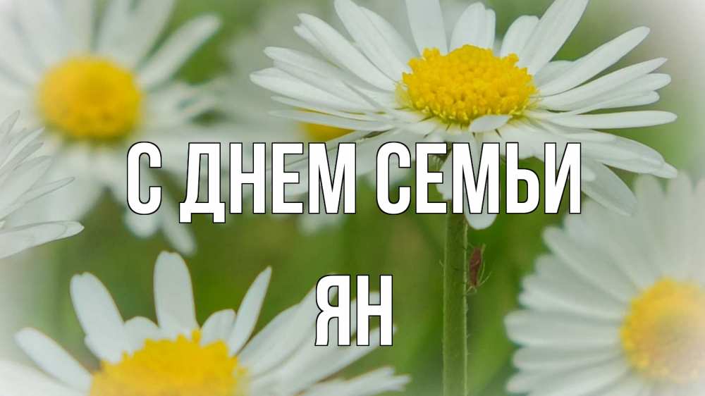 Открытка на каждый день з підписом, Ян С днем семьи с днем семьи  1 Прикольна листівка з побажанням онлайн скачати безкоштовно 