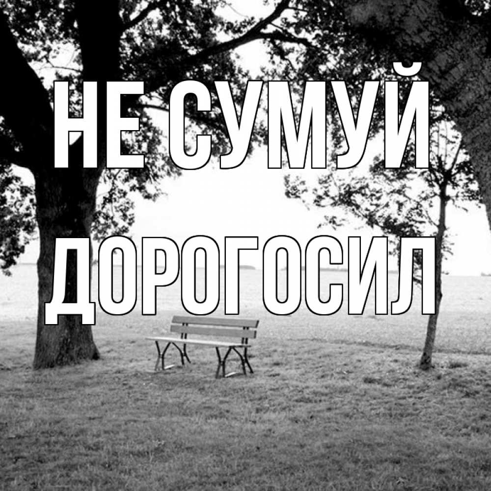 Открытка на каждый день з підписом, Дорогосил Не сумуй мощное дерево Прикольна листівка з побажанням онлайн скачати безкоштовно 