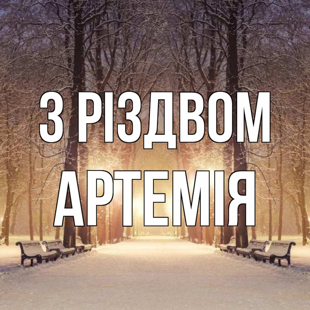 Открытка на каждый день з підписом, Артемія З Різдвом зима, парк, фонарь, лес Прикольна листівка з побажанням онлайн скачати безкоштовно 