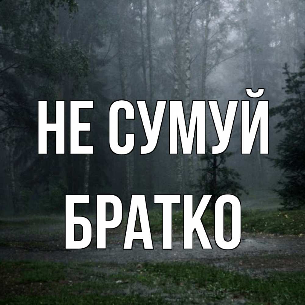 Открытка на каждый день з підписом, Братко Не сумуй осень Прикольна листівка з побажанням онлайн скачати безкоштовно 