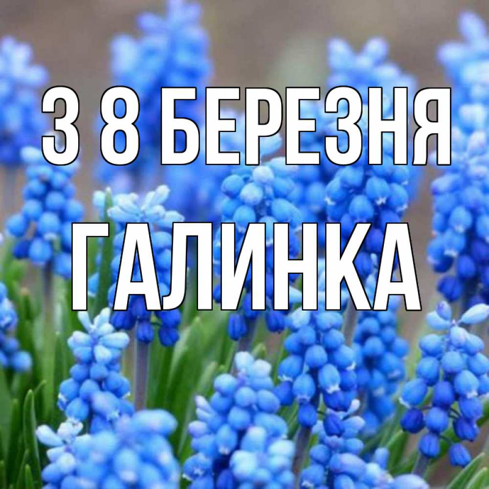 Открытка на каждый день з підписом, Галинка З 8 БЕРЕЗНЯ Поздравительная открытка для женщин с цветами на праздничную дату Прикольна листівка з побажанням онлайн скачати безкоштовно 
