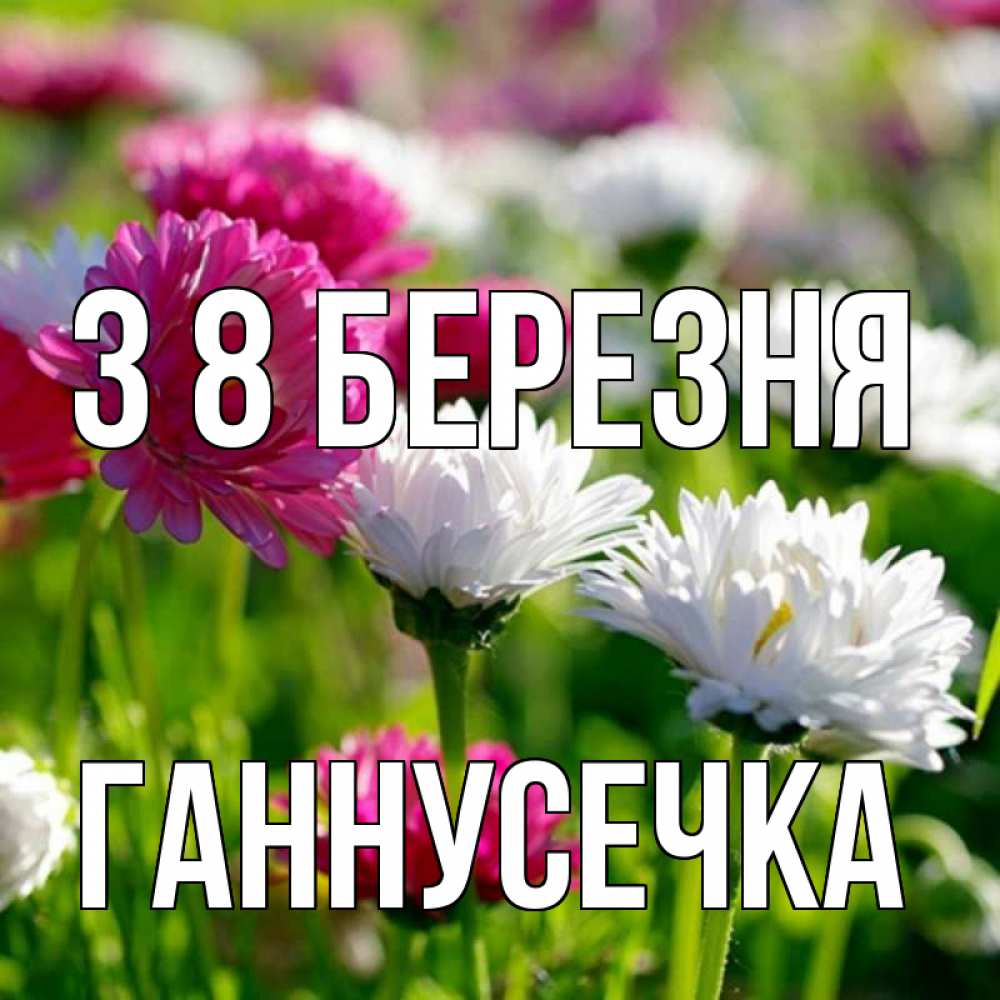 Открытка на каждый день з підписом, Ганнусечка З 8 БЕРЕЗНЯ международный женский день 1 Прикольна листівка з побажанням онлайн скачати безкоштовно 