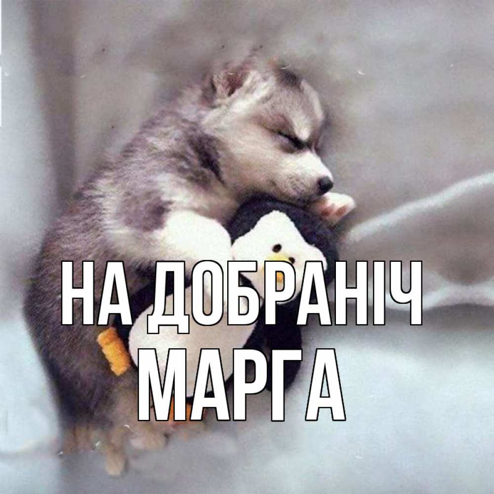 Открытка на каждый день з підписом, Марга На добраніч обнимашки щенка и пингвина Прикольна листівка з побажанням онлайн скачати безкоштовно 