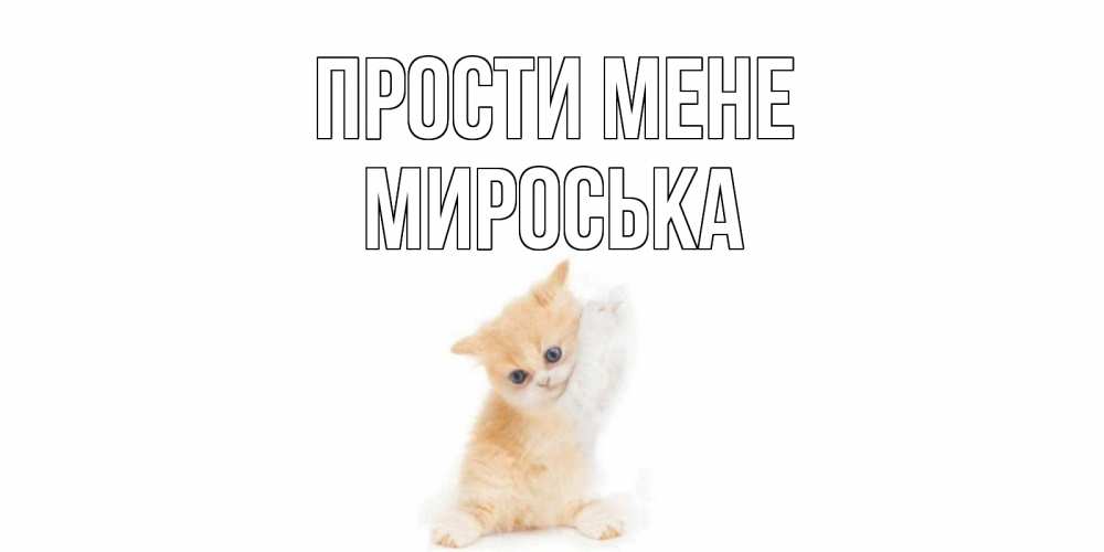 Открытка на каждый день з підписом, Мироська Прости мене кот Прикольна листівка з побажанням онлайн скачати безкоштовно 